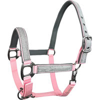 Produktbild von Horsenjoy Pferdehalfter aus Nylon für Ponys in Silber und Rosa