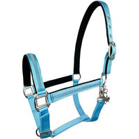 Produktbild von Horsenjoy Soraya Pferdehalfter für Ponys in Blau mit Edelstahlbeschlägen