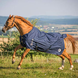 HorSeven Regendecke für Pferde Marine/Navy Größe 145 – Bild 1 von 5