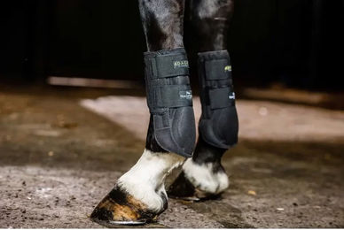 Produktbild von Horseware Adagio Geschlossene Vordergamaschen für Pferde Schwarz