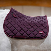 Produktbild von Horseware Alessandro Albanese Performance Jump Pad mit 3D-Airmesh für Warmblut