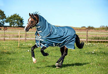 Horseware AmEco Bravo 12 Plus Turnout Pferdedecke aus recycelten Fasern Teal/Grey 145 – Bild 1 von 2