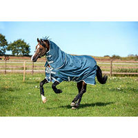 Produktbild von Horseware AmEco Bravo 12 Plus Turnout Pferdedecke aus recycelten Fasern Teal/Grey 145