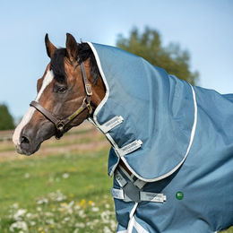 Produktbild von Horseware AmEco Bravo 12 Plus Turnout Pferdedecke Teal/Grau