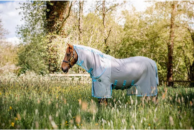 Horseware AmEco Bug Buster Plus Fliegendecke für Pferde aus Polyester 130 cm – Bild 1 von 10