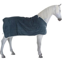 Produktbild von Horseware AmEco Liner Pferdedecke aus Polyester 300g - 300 g