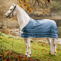 Produktbild von Horseware AmEco Liner Pferdedecke aus Polyester in Blau 100g - 100 g