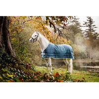 Produktbild von Horseware AmECO Liner Stalldecke für Pferde 200g Blaugrün Größe 72 - 200 g