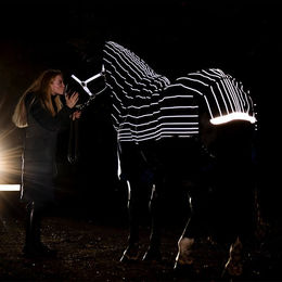 Horseware Amigo 1200D FieldSafe Reflectech Plus Pferdedecke mit 250g Füllung in Schwarz – Bild 1 von 2