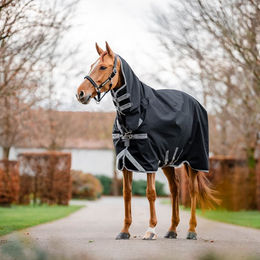 Horseware Amigo 1200D Outdoor-Pferdedecke mit Halsabdeckung 50g – Bild 1 von 2
