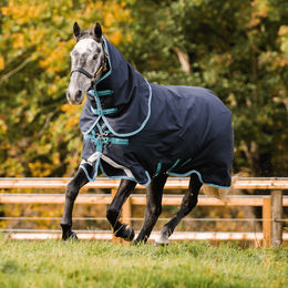 Horseware Amigo 1200D Plus Turnout Pferdedecke mit 250g Füllung – Bild 1 von 9
