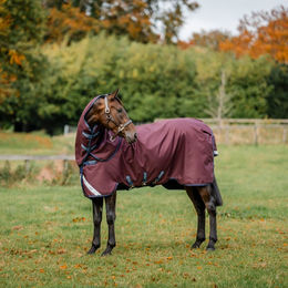Horseware Amigo 1200D Plus Turnout Weidedecke für Pferde Größe 160 Burgundy/Navy & Titanium Grey – Bild 1 von 1