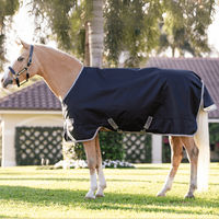 Produktbild von Horseware Amigo 1200D Pony Turnout Weidedecke für Ponys Größe 125 Black/Titanium Grey/Silver