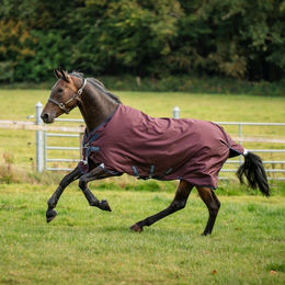Horseware Amigo 1200D Turnout 0g Weidedecke für Pferde Größe 115 Burgundy/Navy & Titanium Grey – Bild 1 von 1