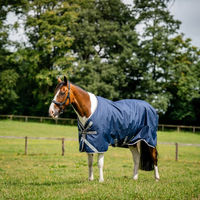 Produktbild von Horseware Amigo 1200D Turnout Pferdedecke XL 150g