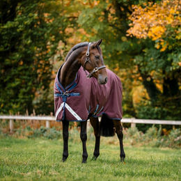 Horseware Amigo 1200D Turnout Weidedecke für Pferde Größe 115 Burgundy/Navy & Titanium Grey – Bild 1 von 1