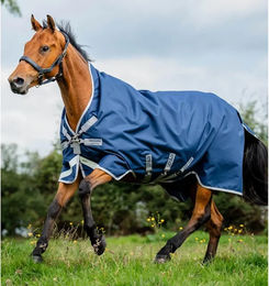 Horseware Amigo 1200D Wug Turnout 400g Weidedecke für Pferde Größe 155 Navy/Titanium Grey/Silver – Bild 1 von 1