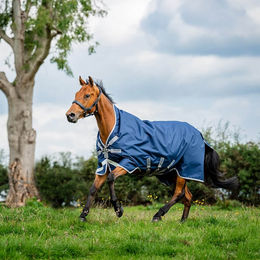 Horseware Amigo 1200D Wug Turnout Weidedecke für Pferde Größe 145 Navy/Titanium Grey/Silver - 150 g – Bild 1 von 1