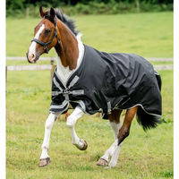 Produktbild von Horseware Amigo 1200D XL Outdoor-Pferdedecke in Schwarz-Silber
