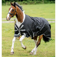 Produktbild von Horseware Amigo 1200D XL Turnout Weidedecke für Pferde 0g Schwarz Silber