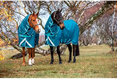 Produktbild von Horseware Amigo AmEco 12 Plus Turnout Outdoor-Decke für Pferde Blau 250g - 250 g