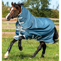 Produktbild von Horseware Amigo AmEco Bravo 12 Plus Turnout Outdoor-Pferdedecke mit Halsteil 100g Teal/Grau