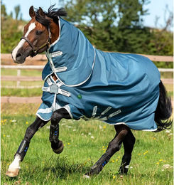 Horseware Amigo AmEco Bravo 12 Plus Turnout Outdoor-Pferdedecke mit Halsteil Teal/Grau 6’9" – Bild 1 von 2