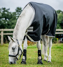 Horseware Amigo Bravo 12 Original Turnout Pferdedecke Größe M in Schwarz Grau Silber - 250 g – Bild 1 von 4