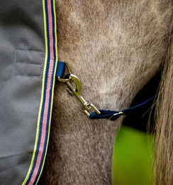 Horseware Amigo Bravo 12 Original Weidedecke für Pferde 0g leicht - 1 Stk. – Bild 1 von 5
