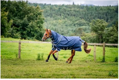 Horseware Amigo Bravo 12 Plus Outdoor-Pferdedecke für Ponys mit Halsabdeckung 100g Navy/Titanium Grey & Silver 125 cm - 100 g – Bild 1 von 6