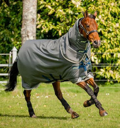 Horseware Amigo Bravo 12 Plus Pferdedecke Größe M in Blau oder Grau - 250 g – Bild 1 von 5