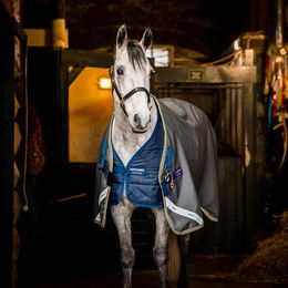 Horseware Amigo Bravo 12 Plus Pferdedecke Set mit Linern in Grau und Silber aus Polyester – Bild 1 von 6