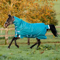 Produktbild von Horseware Amigo Bravo 12 Plus Turnout Decke für Pferde mit Halsabdeckung