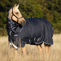 Produktbild von Horseware Amigo Bravo 12 Plus Turnout Heavy Pferdedecke Blau 145 cm
