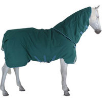 Produktbild von Horseware Amigo Bravo 12 Plus Turnout Heavy Pferdedecke mit 400g Füllung