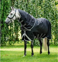 Horseware Amigo Bravo 12 Plus Turnout Pferdedecke mit 250g Füllung in Schwarz/Grau Größe M - 250 g – Bild 1 von 13
