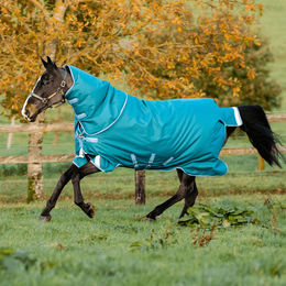 Horseware Amigo Bravo 12 Plus Turnout Pferdedecke mit 400g Füllung Blau Türkis – Bild 1 von 13
