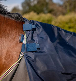 Horseware Amigo Bravo 12 Plus Weidedecke für Pferde in Dark Shadow/Navy & Rose – Bild 1 von 4
