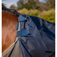Produktbild von Horseware Amigo Bravo 12 Plus Weidedecke für Pferde in Dark Shadow/Navy & Rose