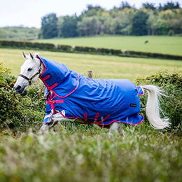 Horseware Amigo Bravo 12 Reflectech Plus Pferdedecke Blau Größe M - 250 g – Bild 1 von 6