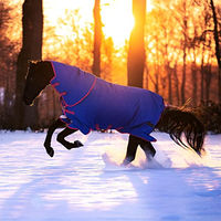 Produktbild von Horseware Amigo Bravo 12 Reflectech Plus Pferdedecke Blau Medium - 250 g