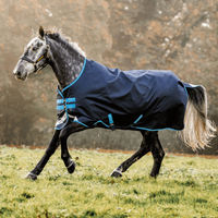 Produktbild von Horseware Amigo Bravo 12 Regendecke für Pferde Navy/Turquoise 155 cm