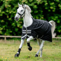 Produktbild von Horseware Amigo Bravo 12 Turnout 50g Weidedecke für Pferde in Größe 160 Black/Titanium Grey/Silver