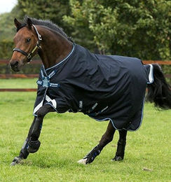 Horseware Amigo Bravo 12 Turnout Regendecke für Pferde Navy/Türkis Größe 115 – Bild 1 von 7