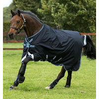 Produktbild von Horseware Amigo Bravo 12 Turnout Regendecke für Pferde Navy/Türkis Größe 115