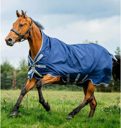 Horseware Amigo Bravo 12 Turnout Wug Pferdedecke Medium 250g Blau Grau Silber – Bild 1 von 2