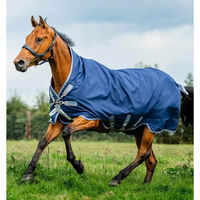 Produktbild von Horseware Amigo Bravo 12 Turnout Wug Pferdedecke Medium 250g Blau Grau Silber