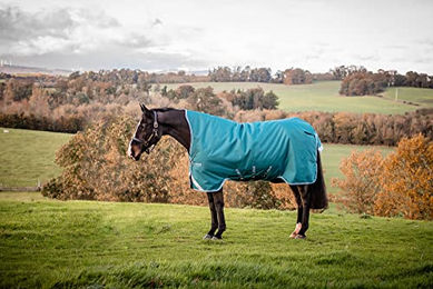 Horseware Amigo Bravo 12 Wug Turnout 0g Light Highneck Pferdedecke Storm Green Aqua Turquoise 145 cm – Bild 1 von 5