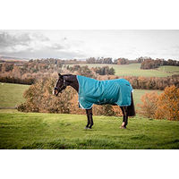 Produktbild von Horseware Amigo Bravo 12 Wug Turnout 0g Light Highneck Pferdedecke Storm Green Aqua Turquoise 145 cm