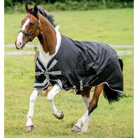 Produktbild von Horseware Amigo Bravo 12 XL Turnout Pferdedecke 0g Light Schwarz Grau Silber